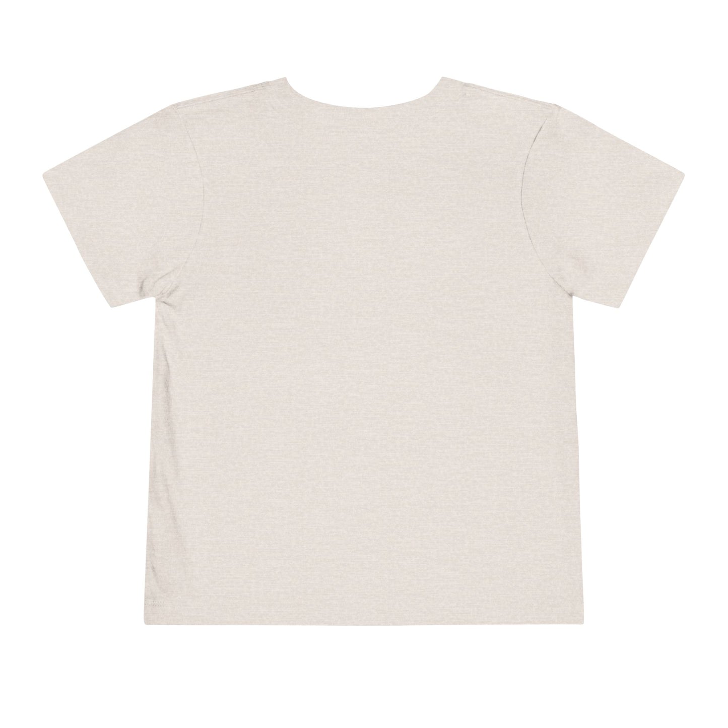 Trained Up Toddler T-Shirt — Heather Dust