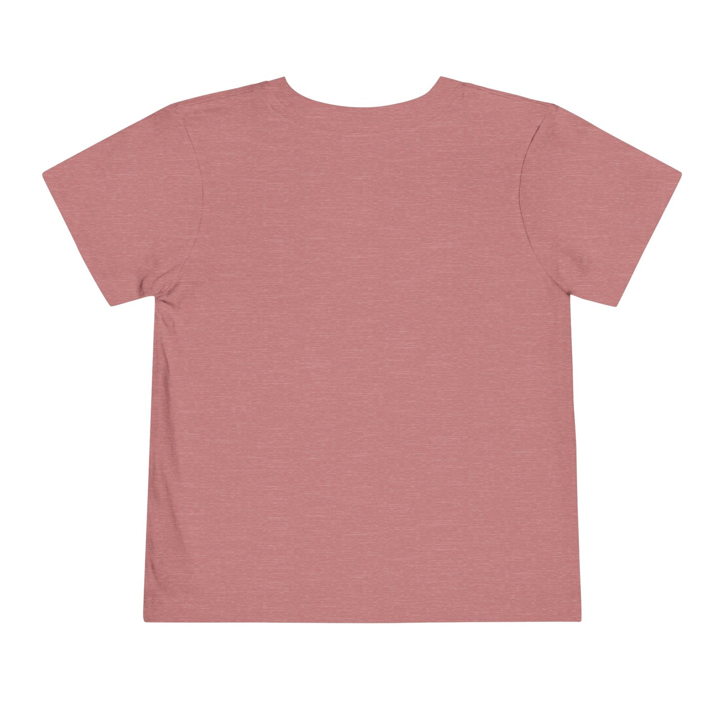 Trained Up Toddler T-Shirt — Heather Mauve