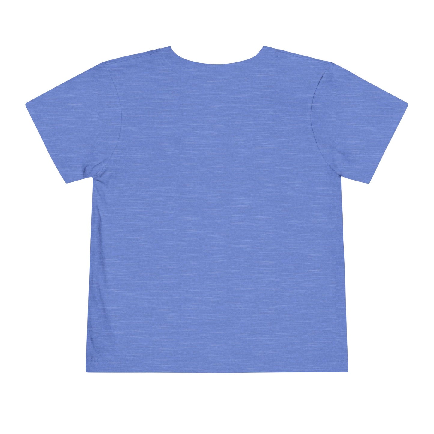 Trained Up Toddler T-Shirt — Heather Columbia Blue